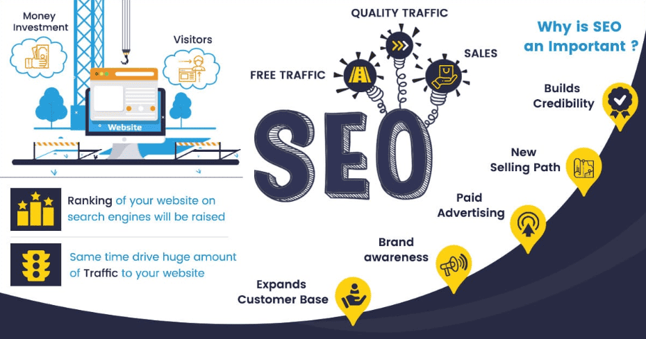 Need Professional SEO Services