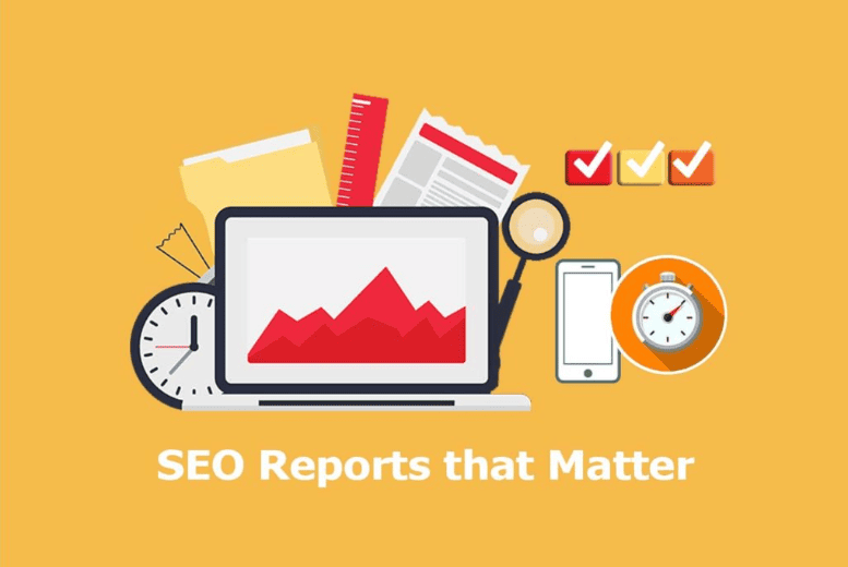 Professional SEO Firm Reports